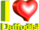 I Love Daffodils